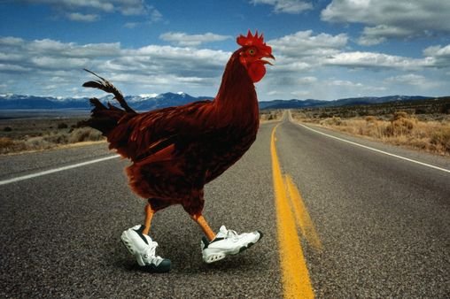 Spain - chicken road game